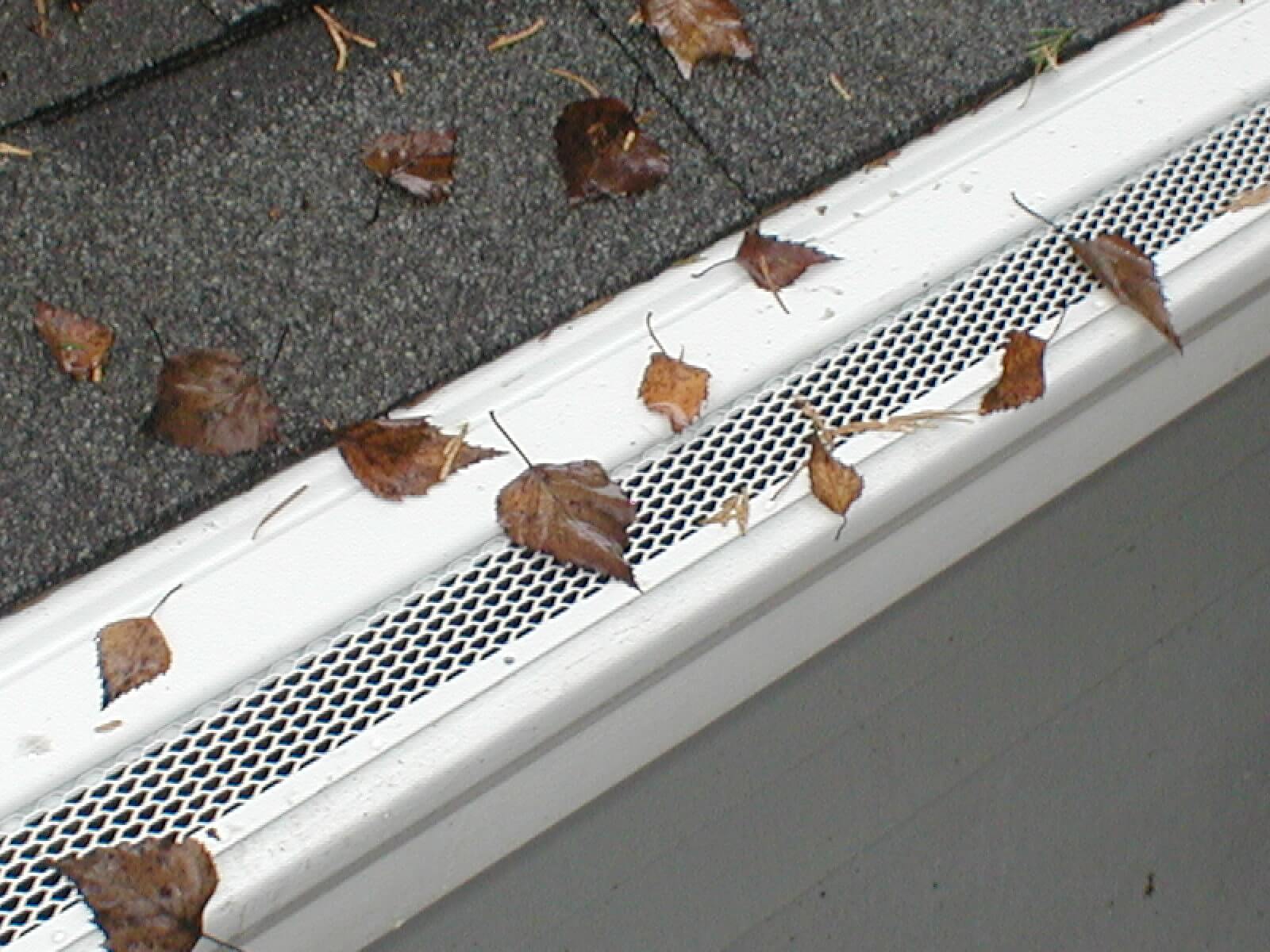 gutter guard on house gutter